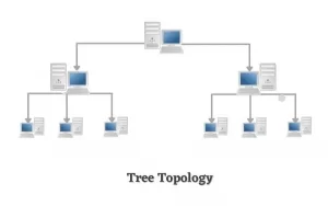 ট্রি টপোলজি (Tree Topology)